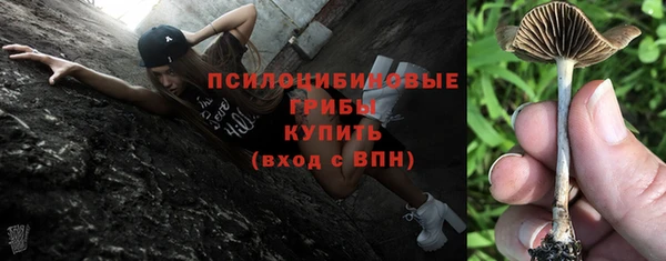 дурь Нягань