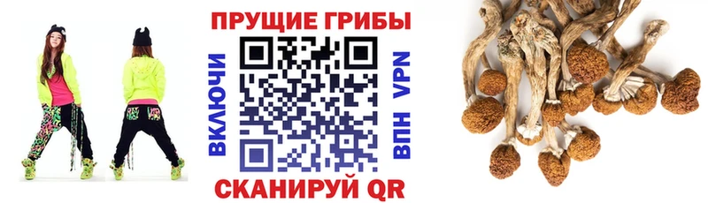 MEGA зеркало Инсар Галлюциногенные грибы прущие грибы
